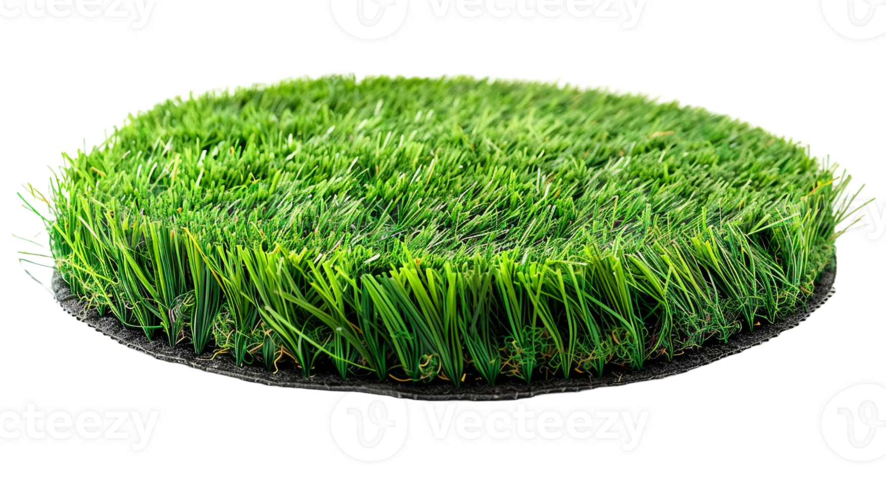 AI generated Circle grass isolated on a transparent background png