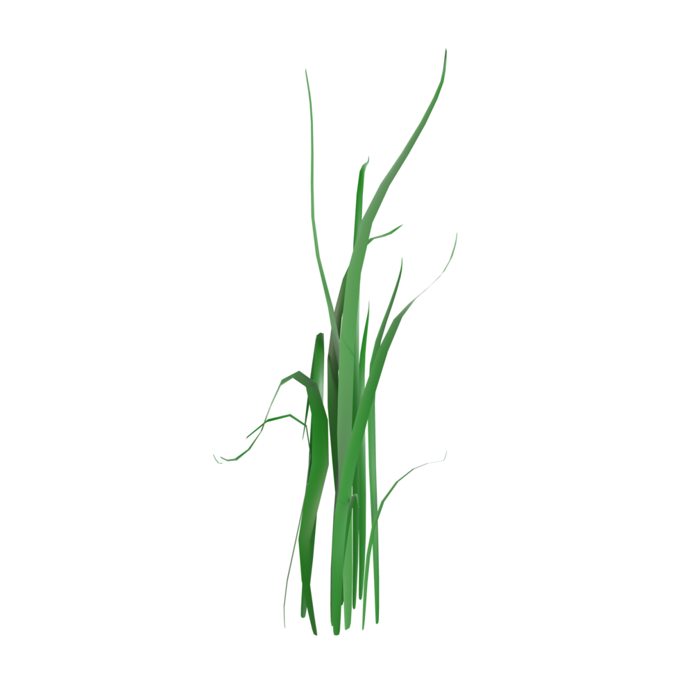 grass on a transparent background, green grass png