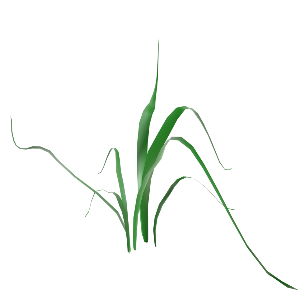 grass on a transparent background, green grass png