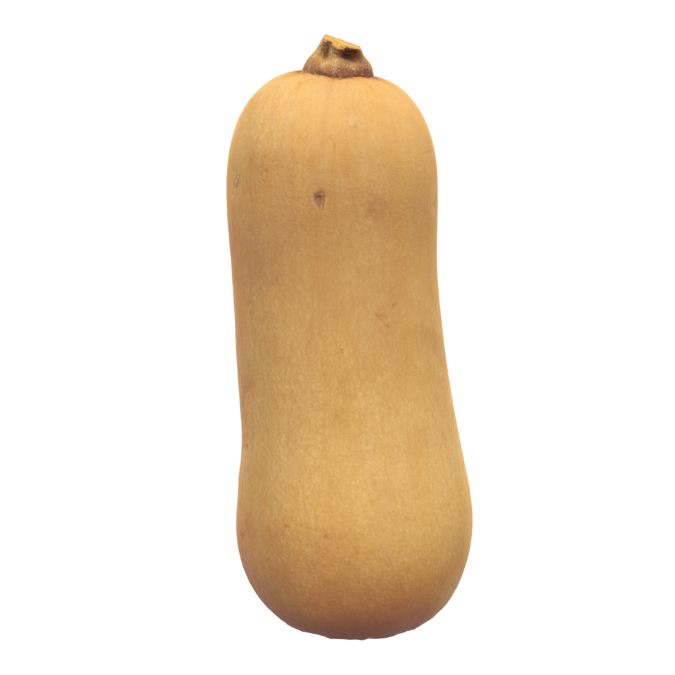 butternut squash on transparent background png