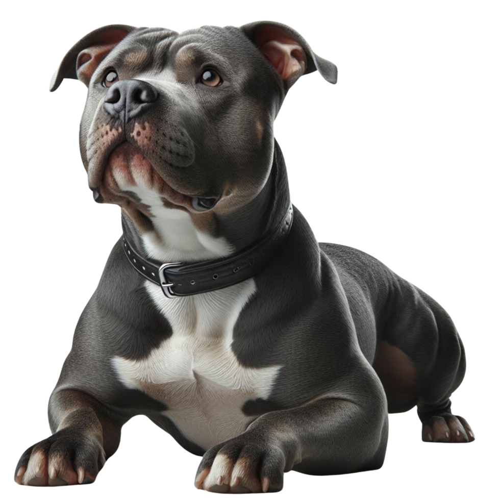 AI generated Elegant American Pit Bull Terrier Enjoying Quality Time Outdoors png