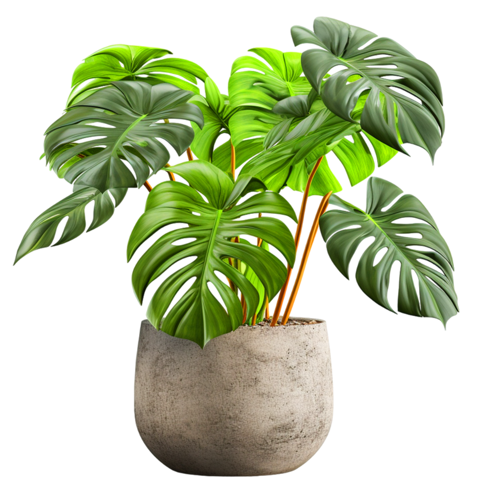 AI generated Tropical plant in a pot png