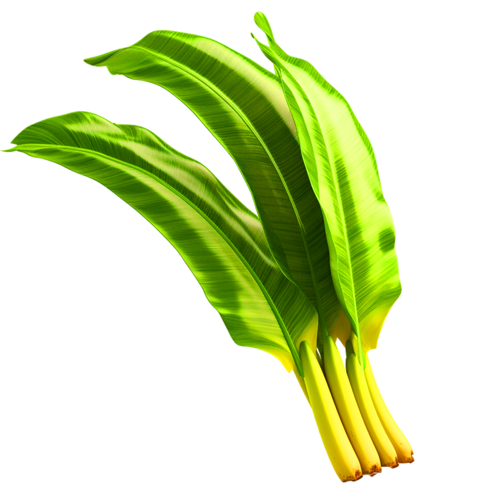 AI generated Banana leaf png