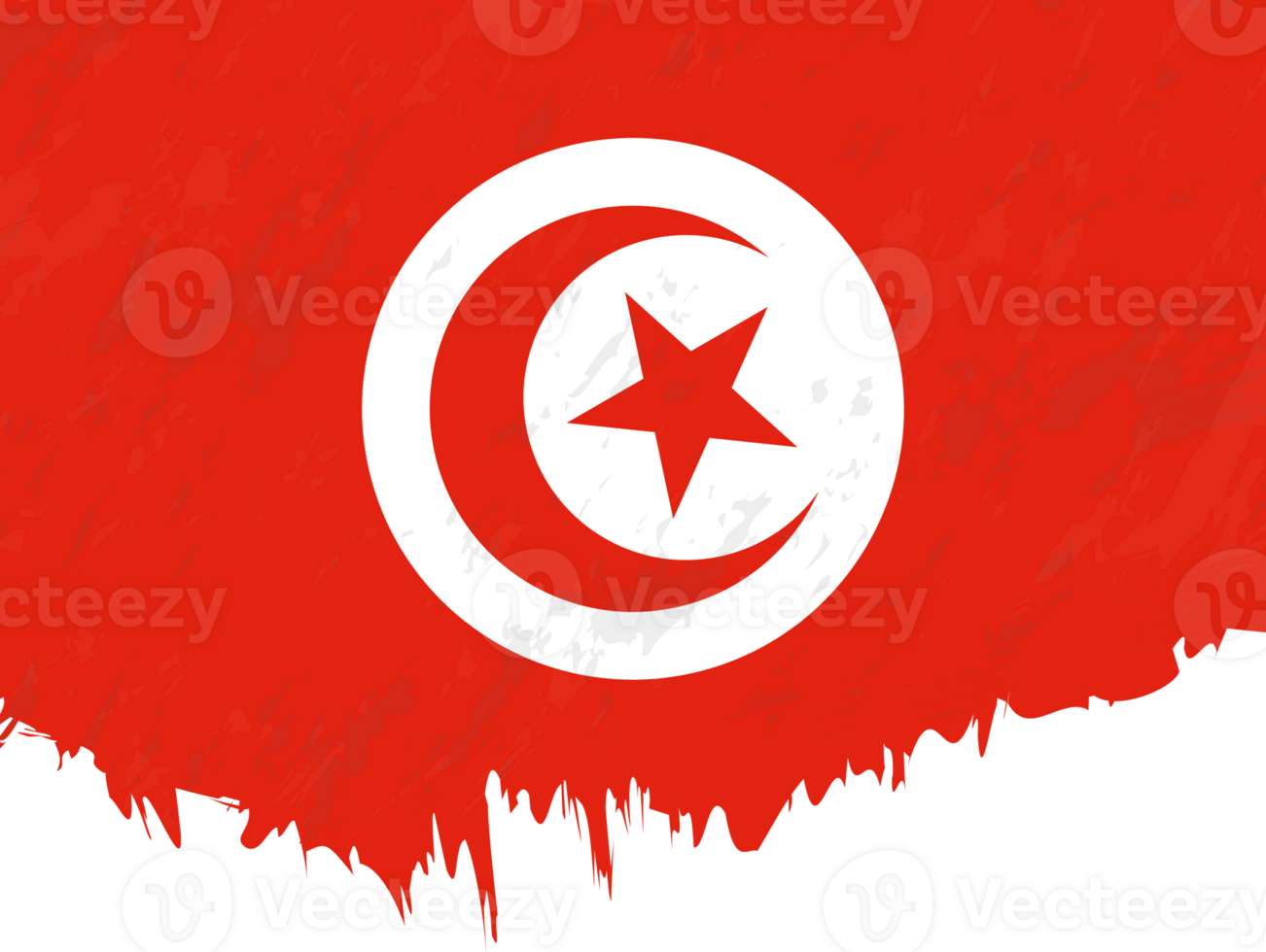 style grunge drapeau de Tunisie. png