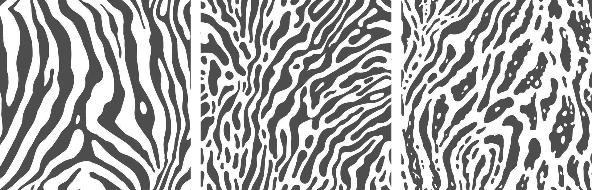 Set of monochrome zebra print backgrounds. vector
