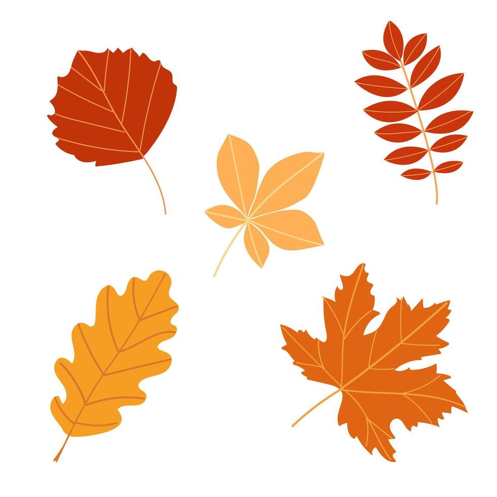 Hello autumn vector illustration