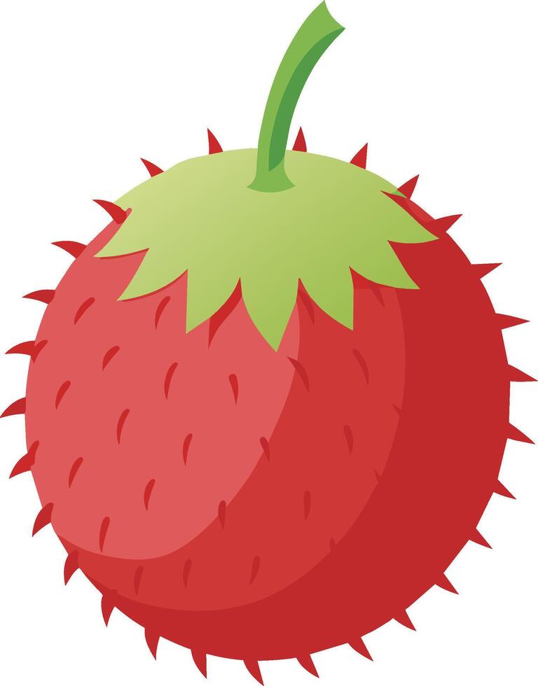 rambután Fruta vector icono vector aislado en blanco antecedentes