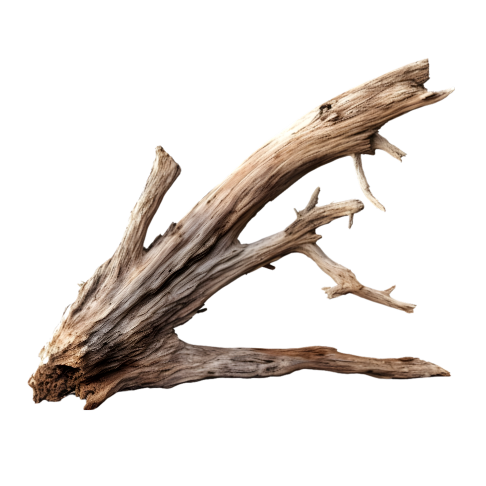 AI generated tree trunk on transparent background PNG image