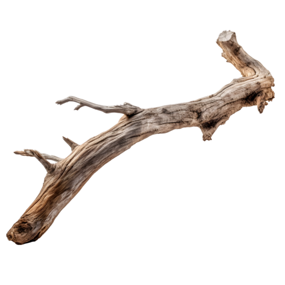 AI generated tree trunk on transparent background PNG image