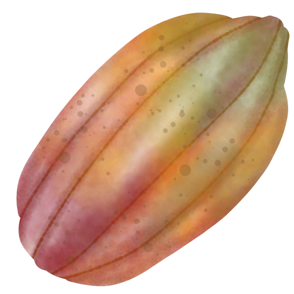 Cocoa trees, cocoa fruits and leaves, cocoa farm png