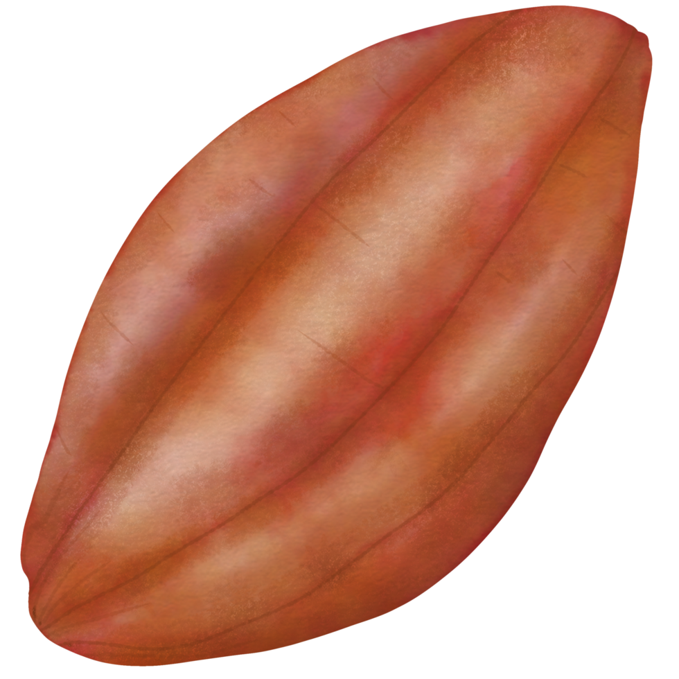 Cocoa trees, cocoa fruits and leaves, cocoa farm png