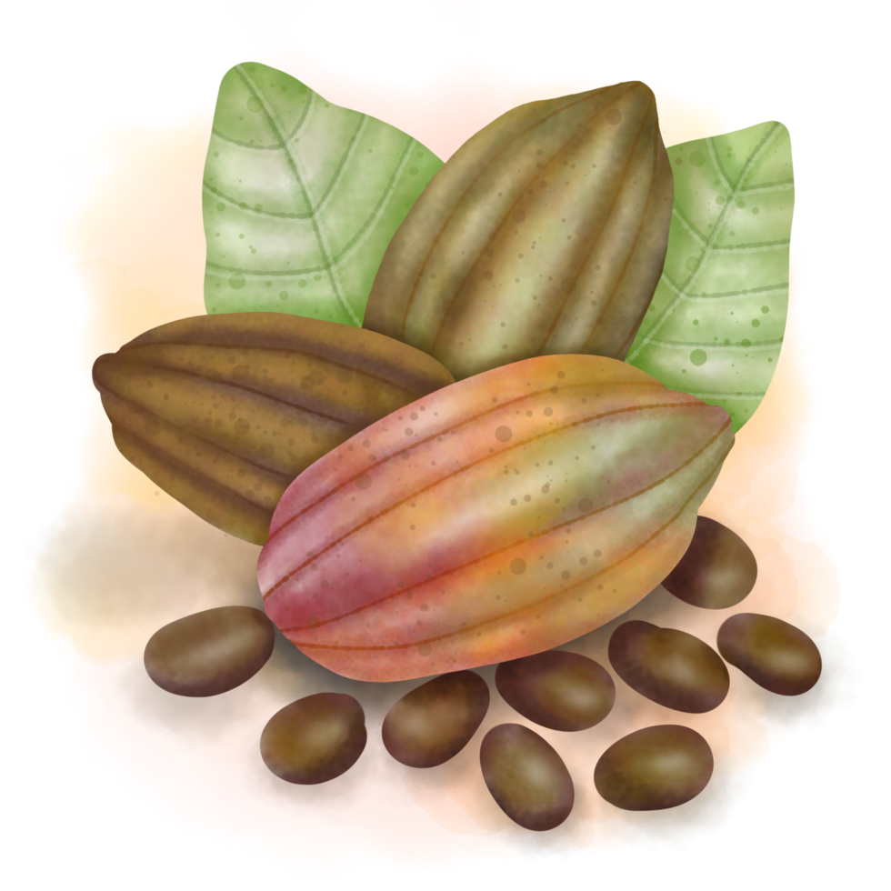 Cocoa trees, cocoa fruits and leaves, cocoa farm png