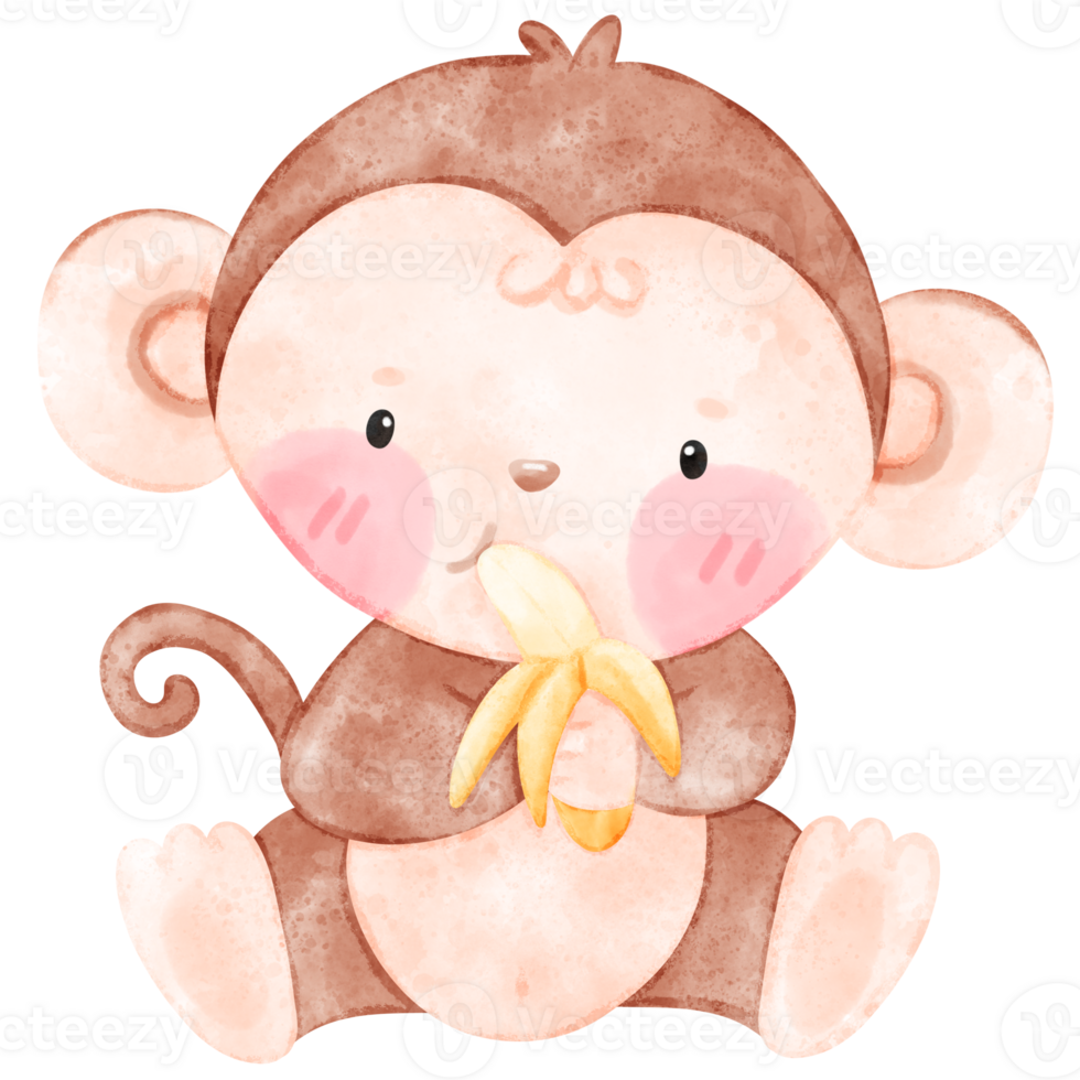 Baby Monkey, cute monkey, watercolor monkey png