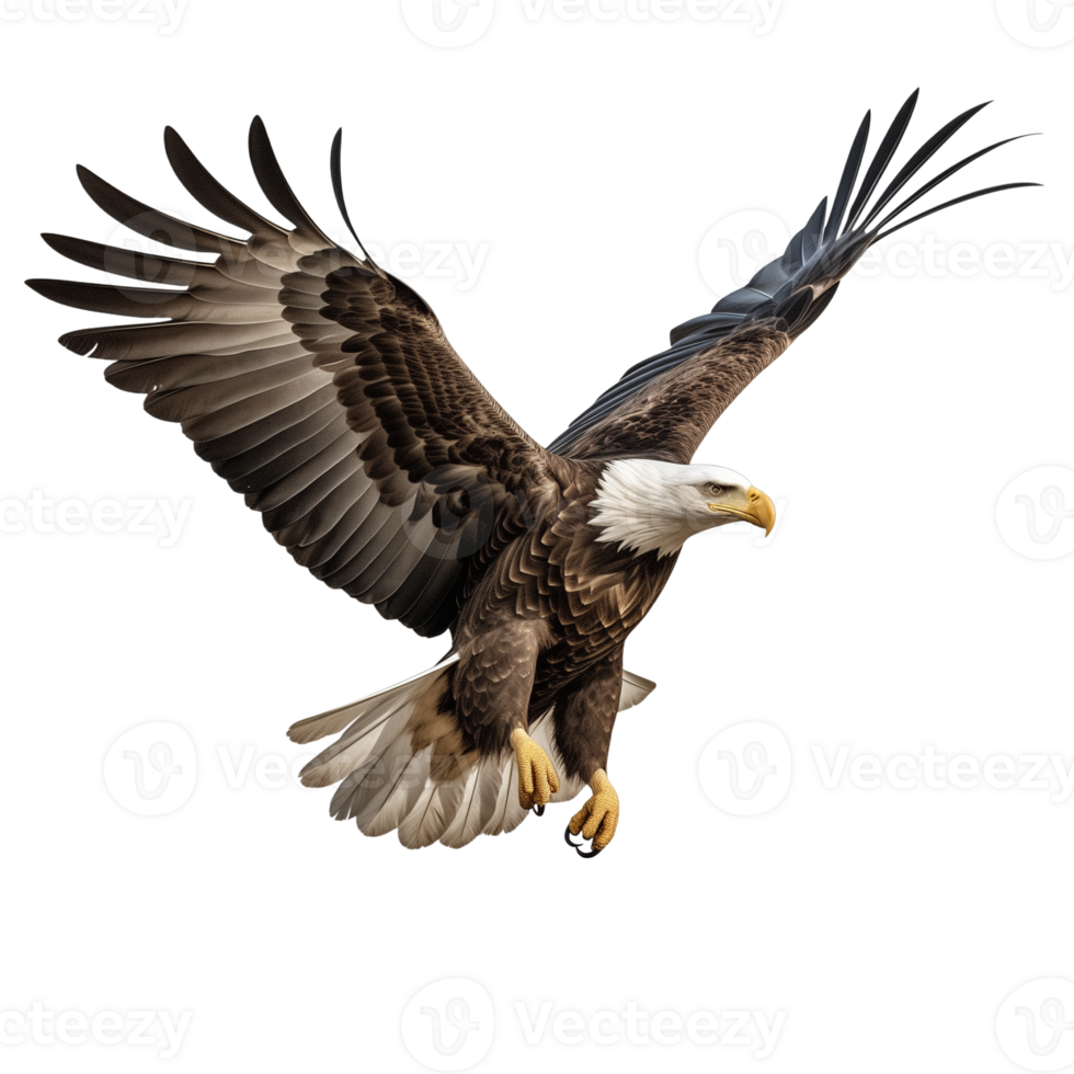 AI generated Collection of Flying Bald Eagles Isolated png