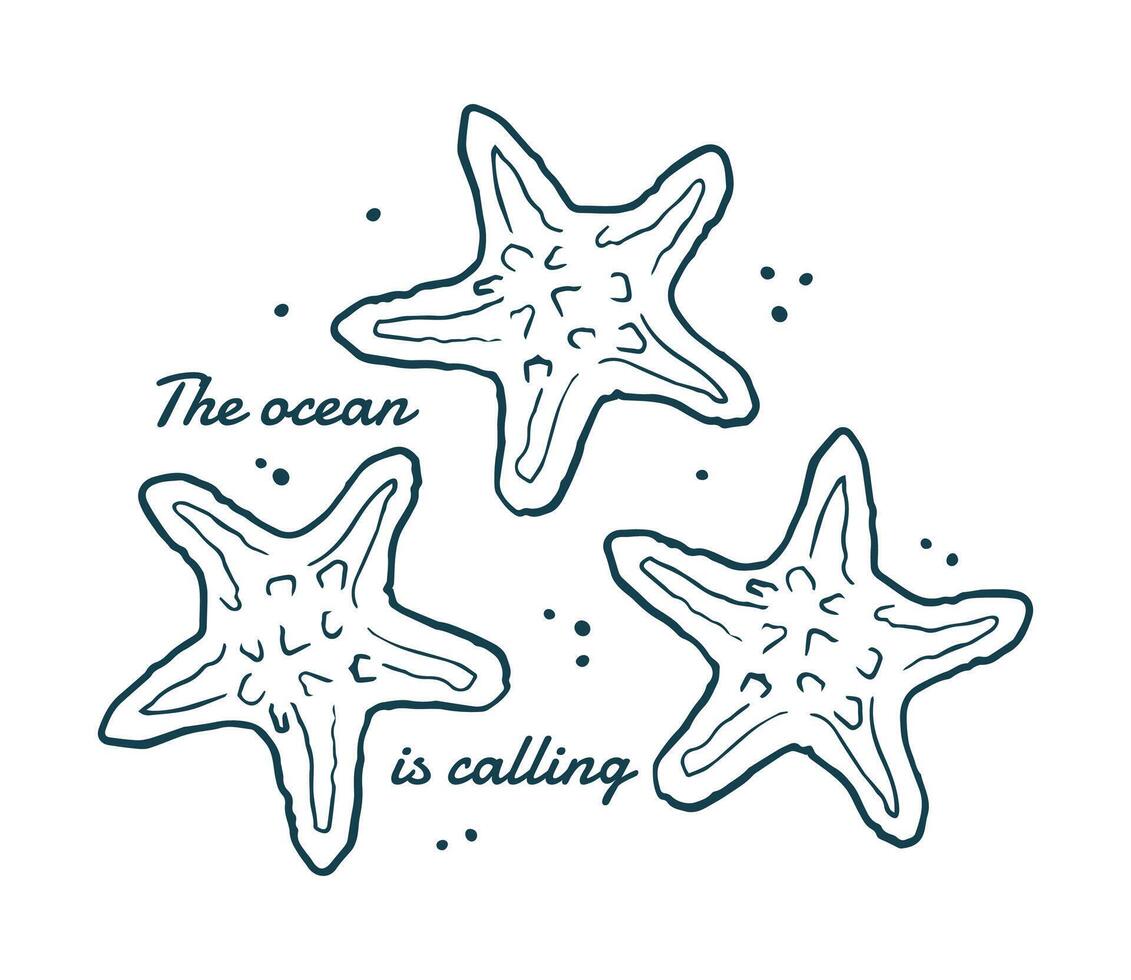 Doodle seashell set. Vector banner with tropical sea starfish. Ocean elements, shells. Doodles of marine life.