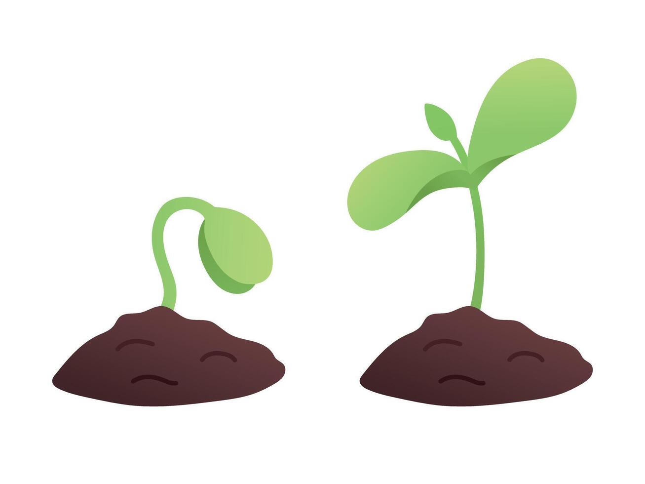 Plant growing phases. Sprout flat vector illustration.