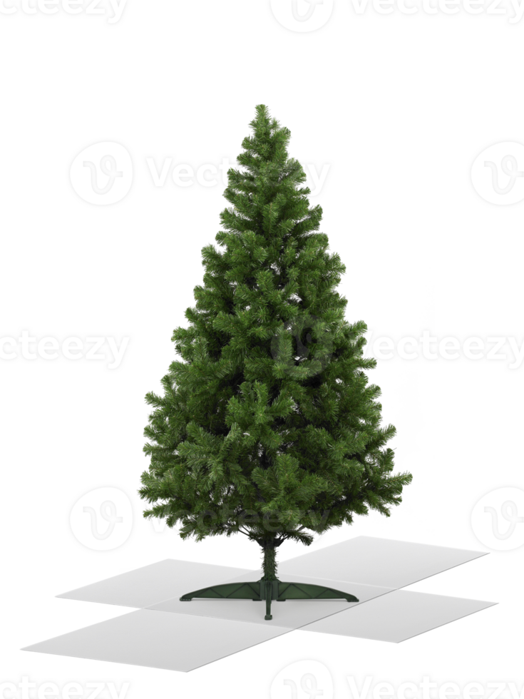 Real Christmas tree on box, transparent background png