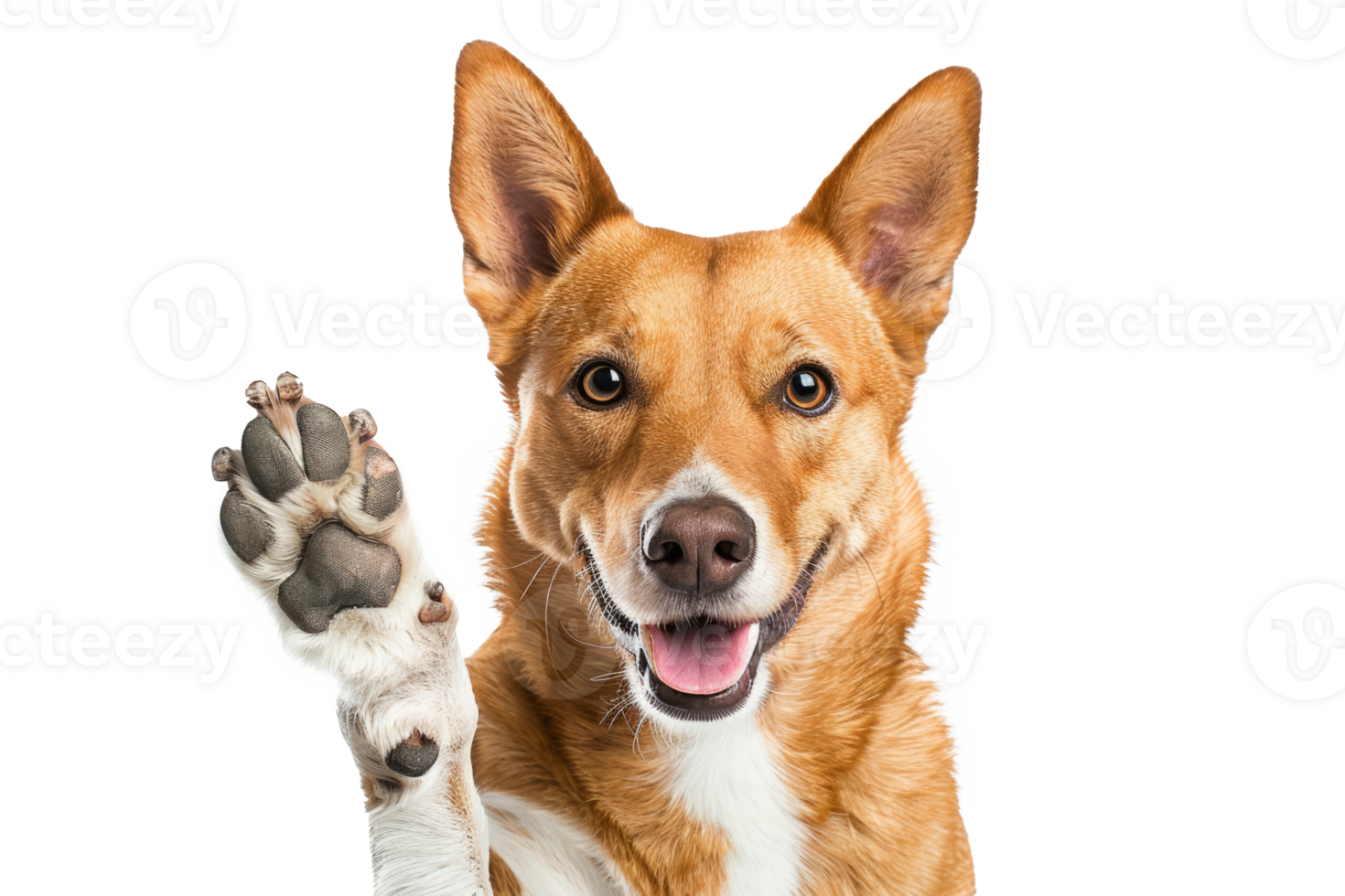 AI generated Dog with raised high paw showing high five gesture png