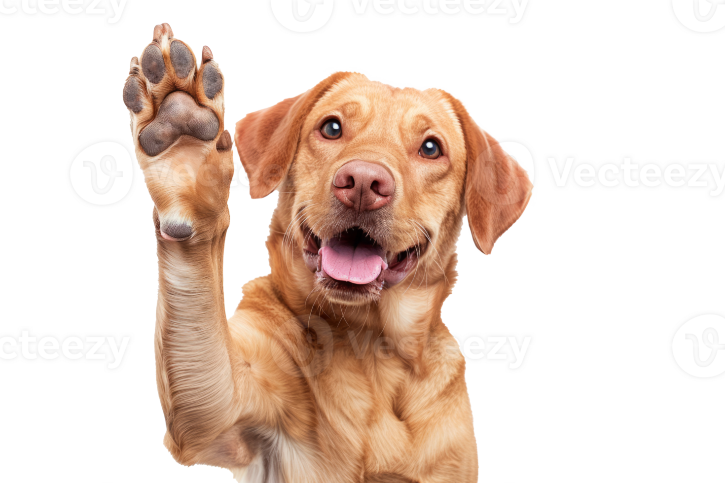 AI generated Dog with raised high paw showing high five gesture png