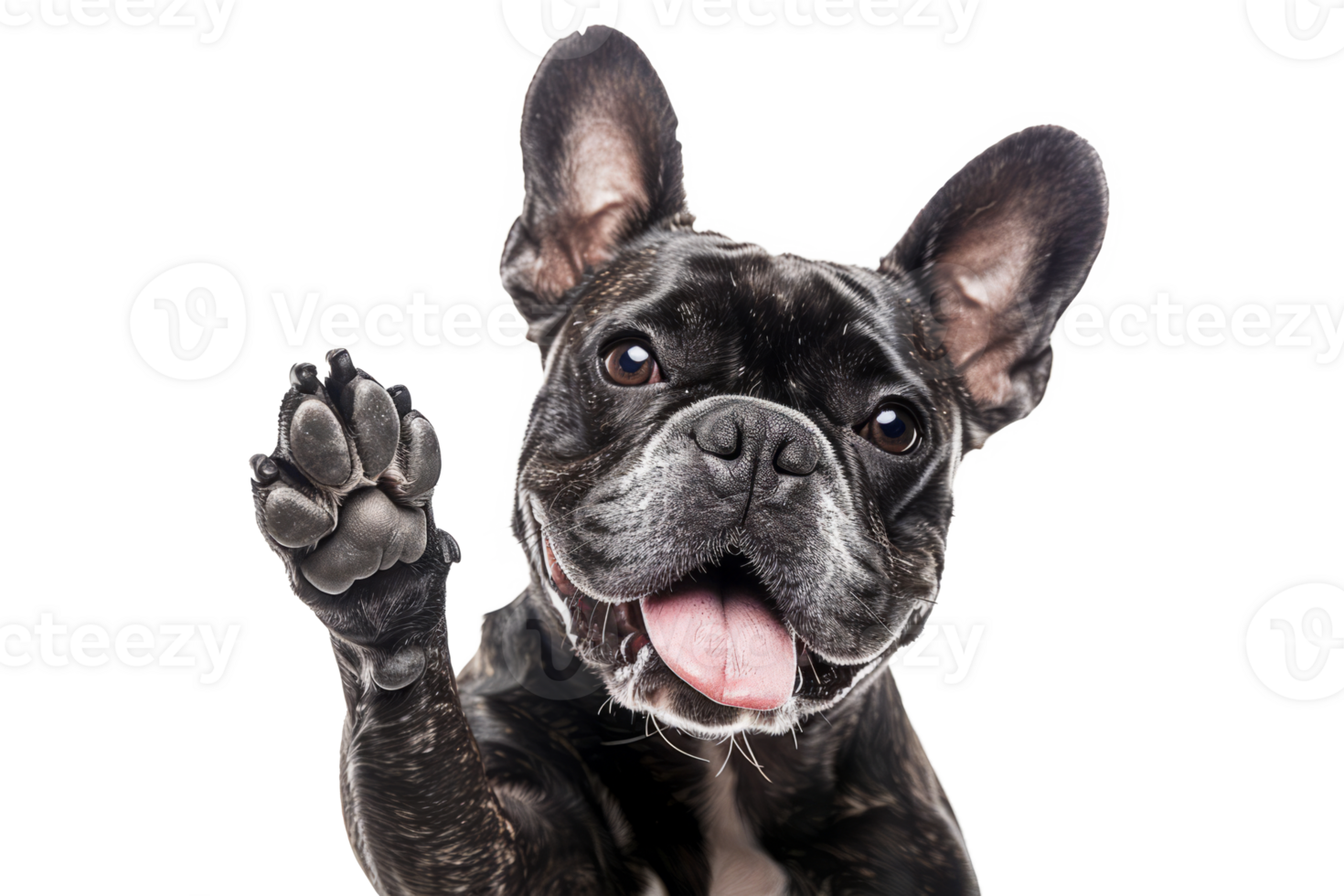 AI generated Dog with raised high paw showing high five gesture png