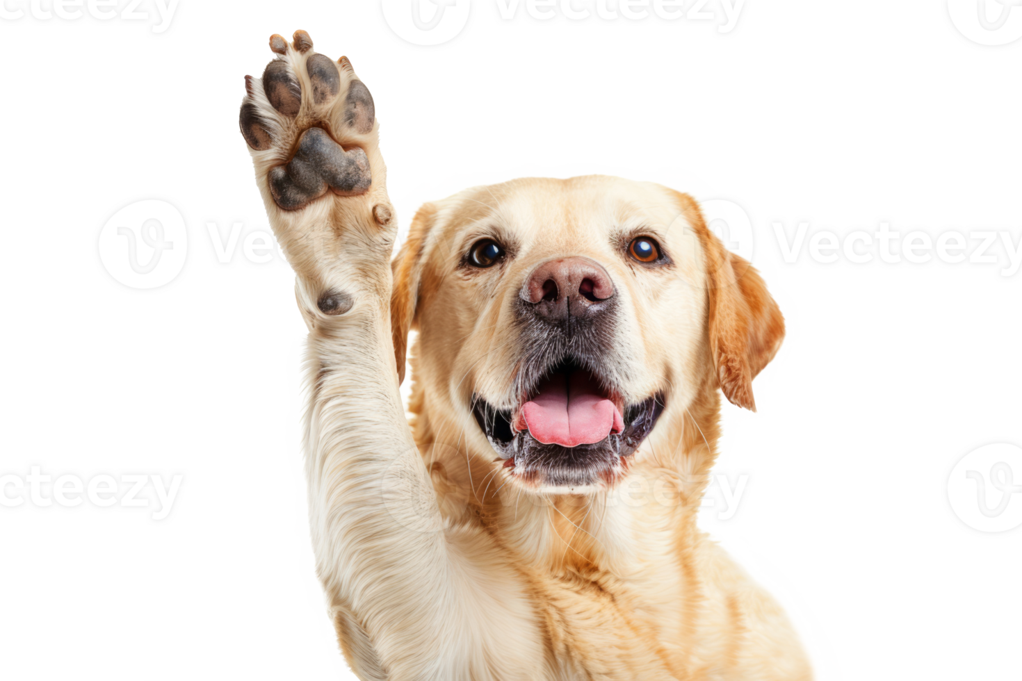 AI generated Dog with raised high paw showing high five gesture png