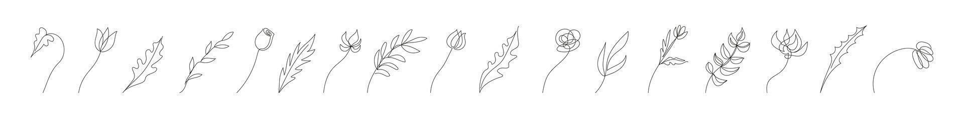 Collection of floral design elements in continuous one line drawing style. Flowers, plants, leaves, branches. Line art. White backdrop. For print, postcard, scrapbooking, coloring book. vector