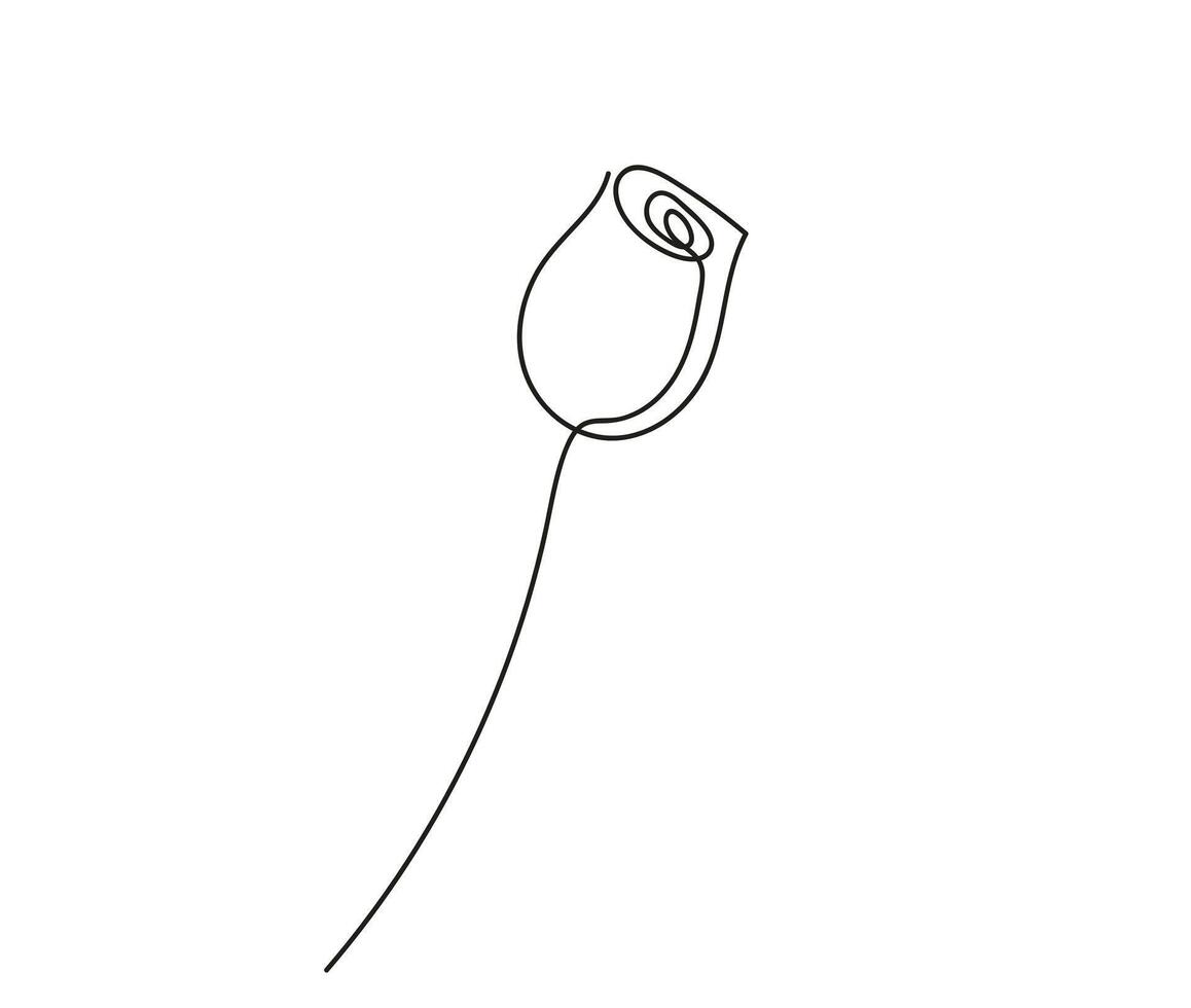 Continuous one line drawing of rose bud. Line art. Beautiful flower