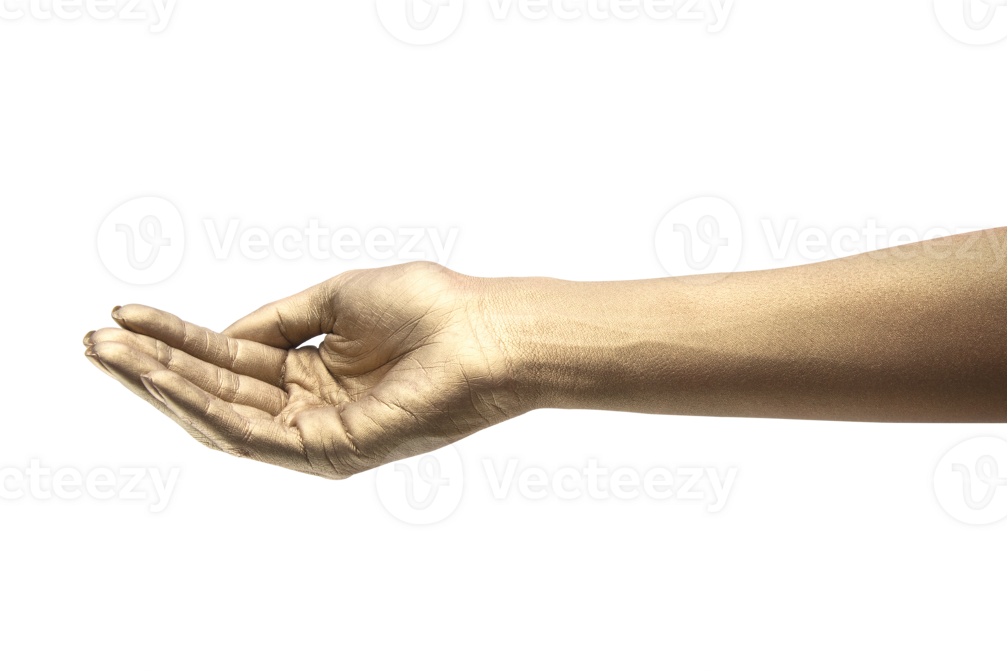 female hands on cutout background png