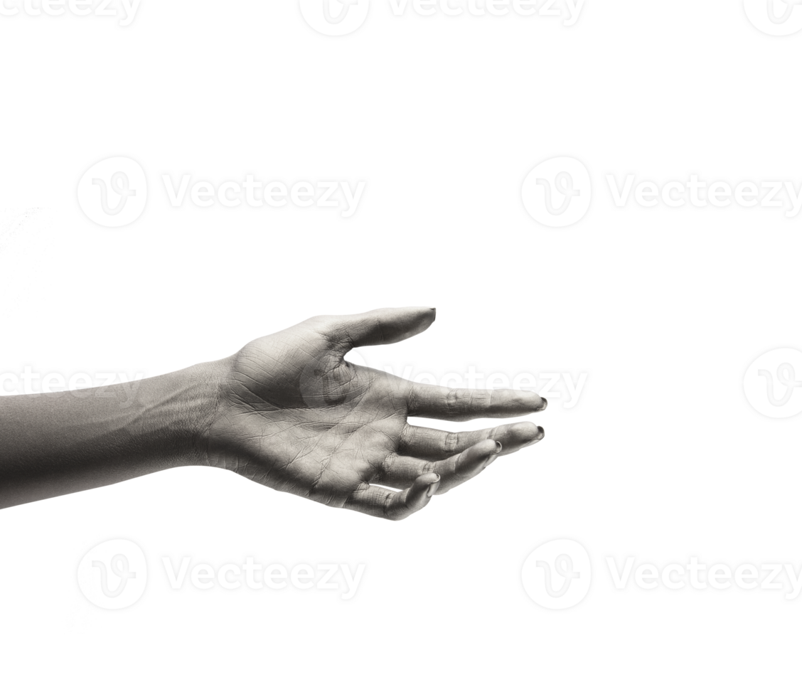 female hands on cutout background png