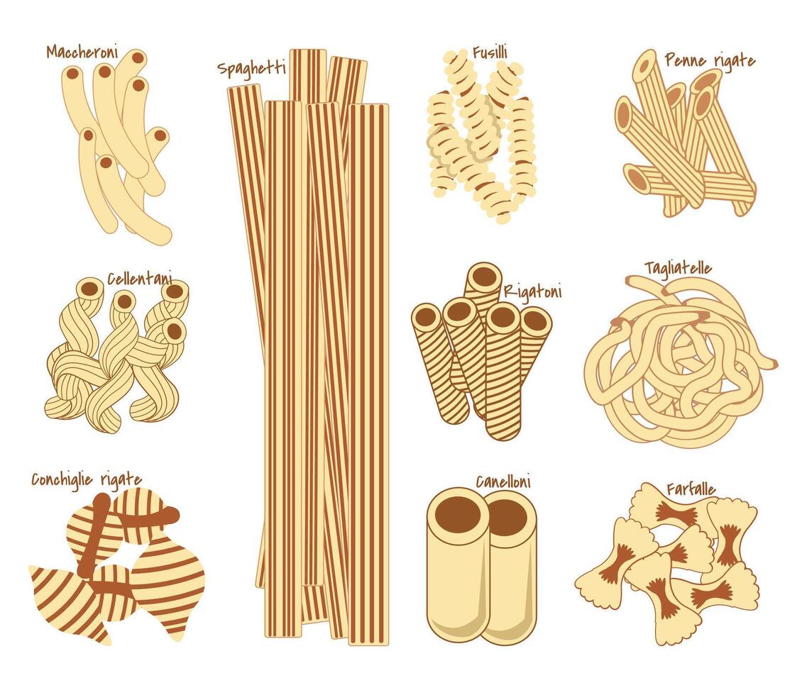 various types of pasta illustration set vector
