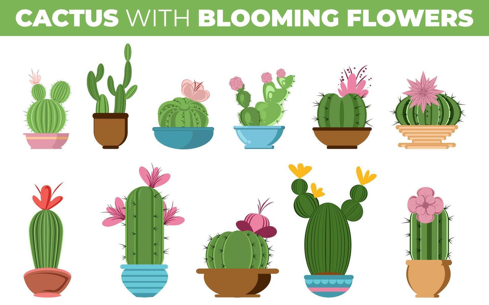 set of different types of cactus with blooming flowers vector