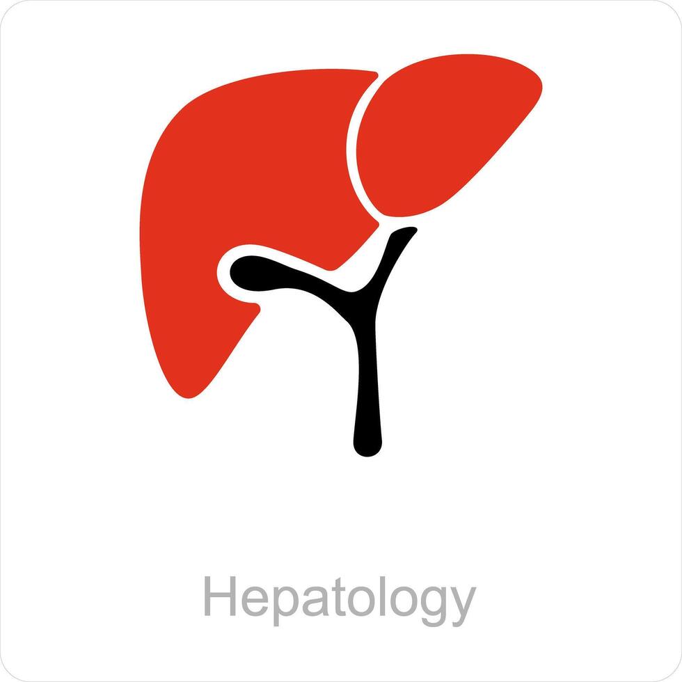 hepatología y hígado icono concepto vector