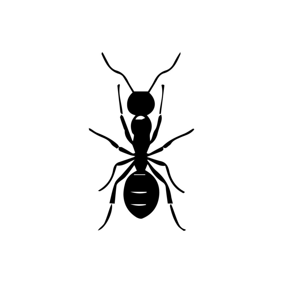 Silhouettes of ants. Free vector