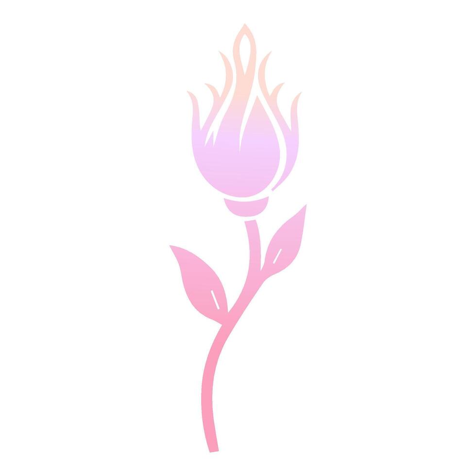 Rose flower of blooming plant. Garden rose isolated icon of pink blossom, petal and bud with green stem and leaf for romantic floral decoration, wedding bouquet and valentine greeting card vector