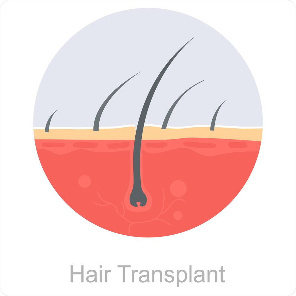 pelo trasplante y pelo icono concepto vector