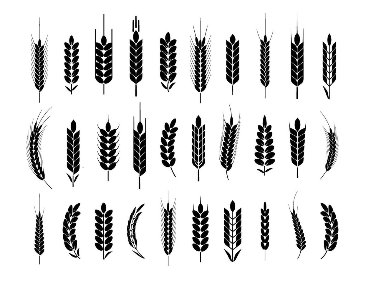 trigo orejas íconos y logo vector