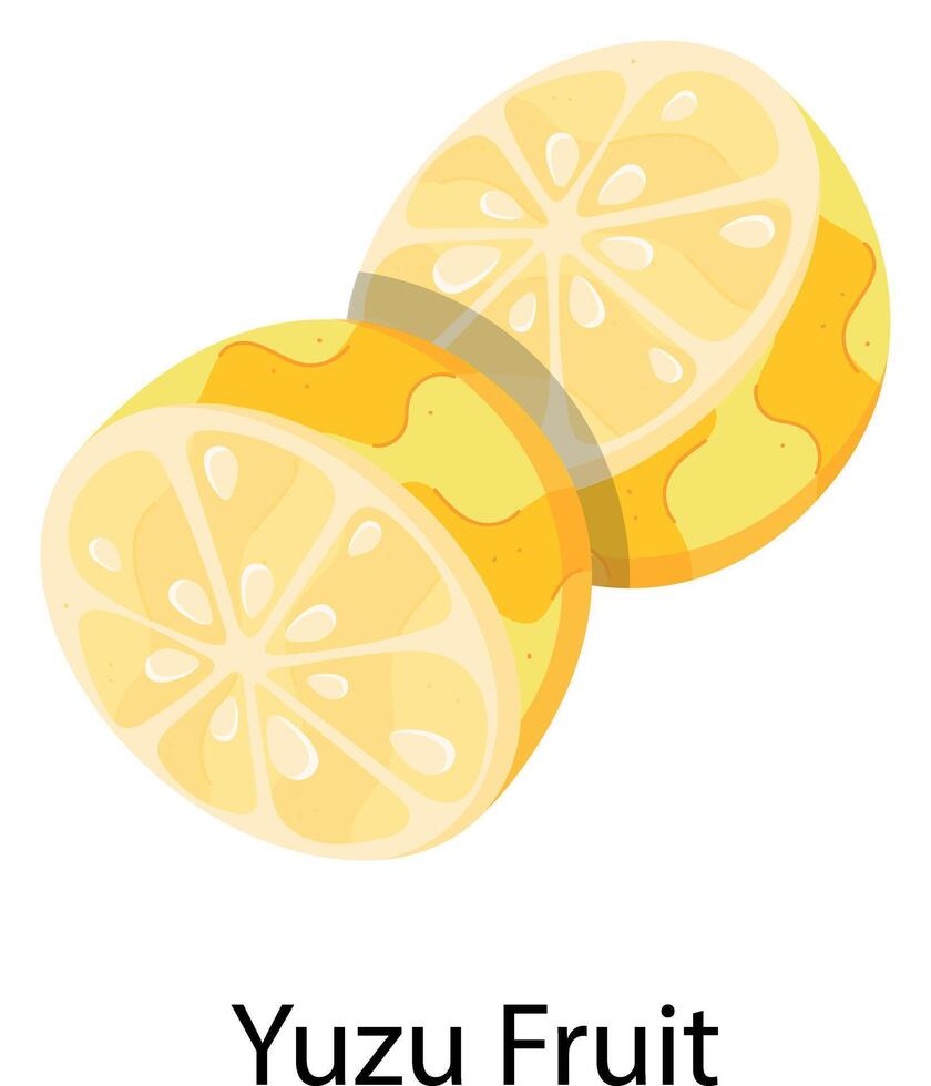Exotic Fruits Flat Stickers vector