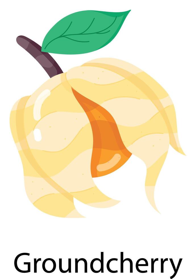 Exotic Fruits Flat Stickers vector