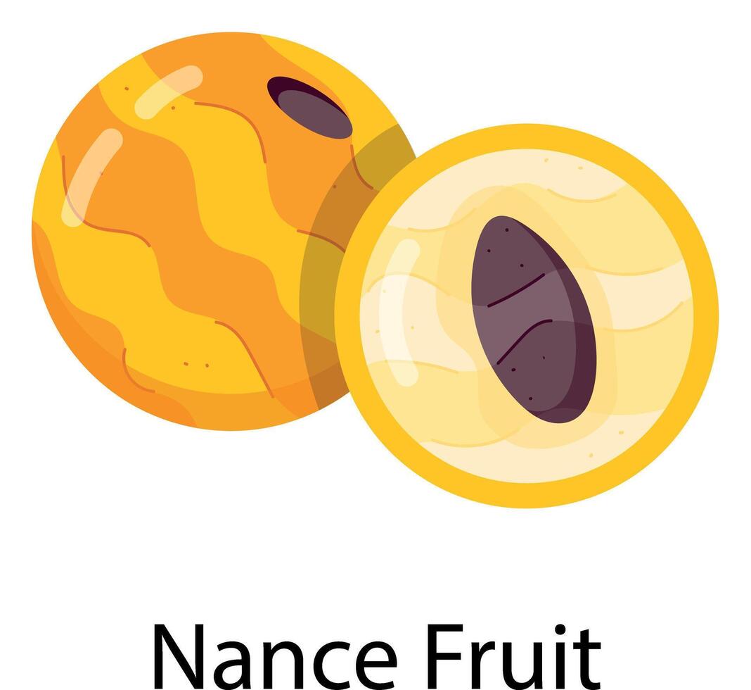 Exotic Fruits Flat Stickers vector