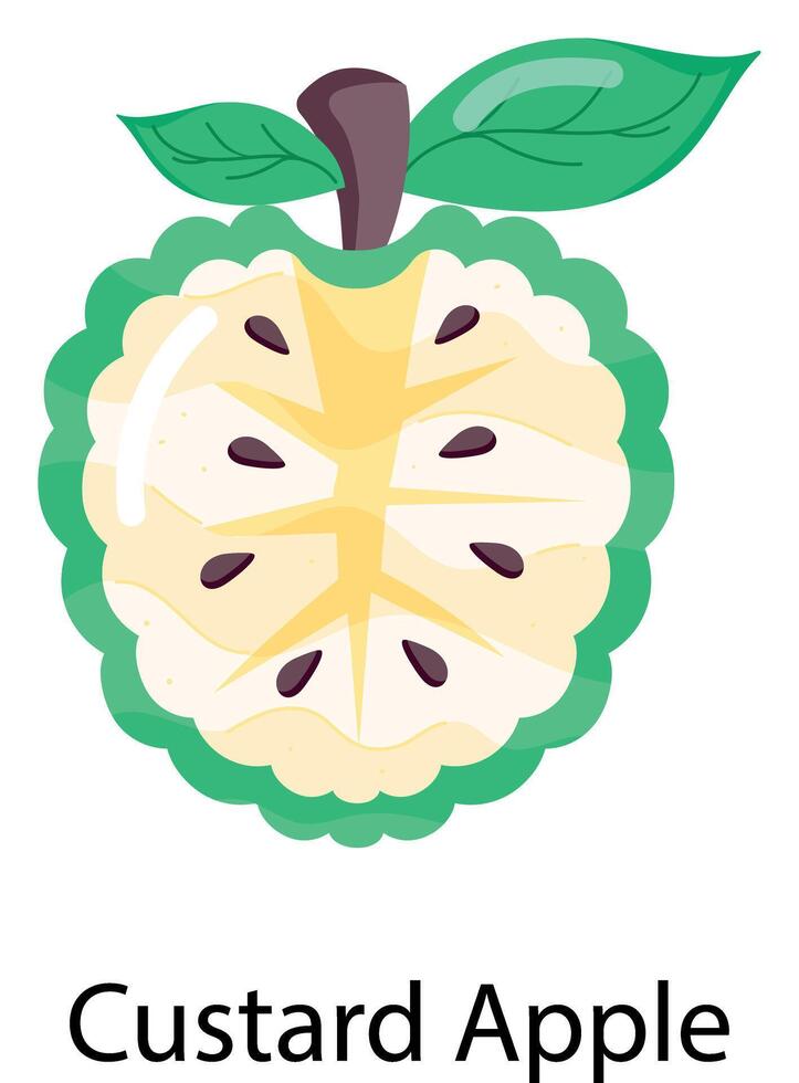 Exotic Fruits Flat Stickers vector