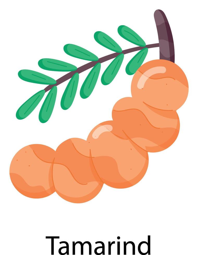 Exotic Fruits Flat Stickers vector