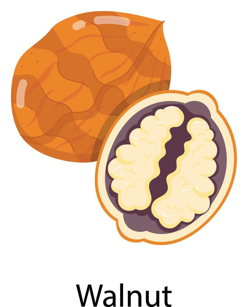 Exotic Fruits Flat Stickers vector