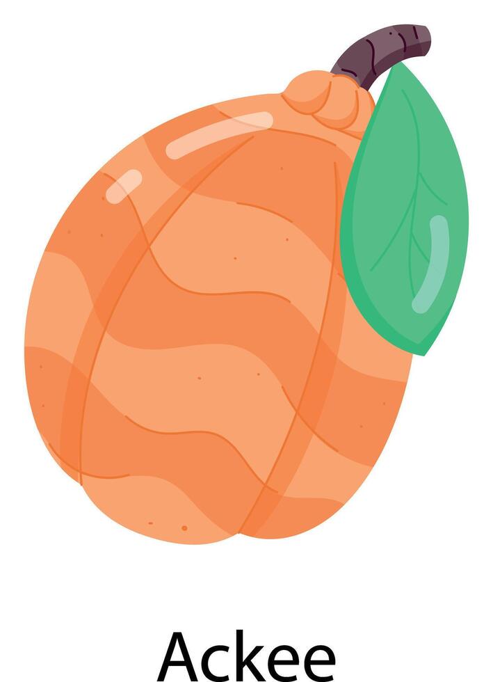 Exotic Fruits Flat Stickers vector