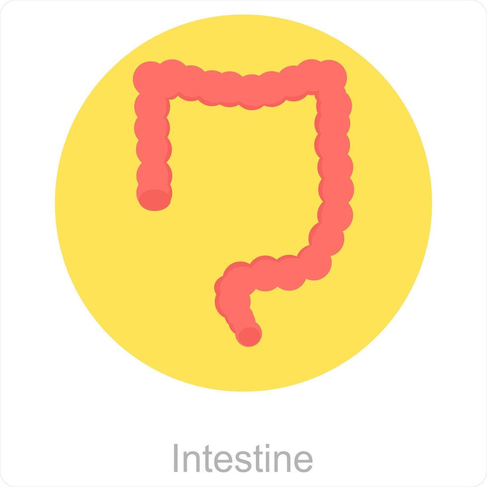 intestino y interno icono concepto vector