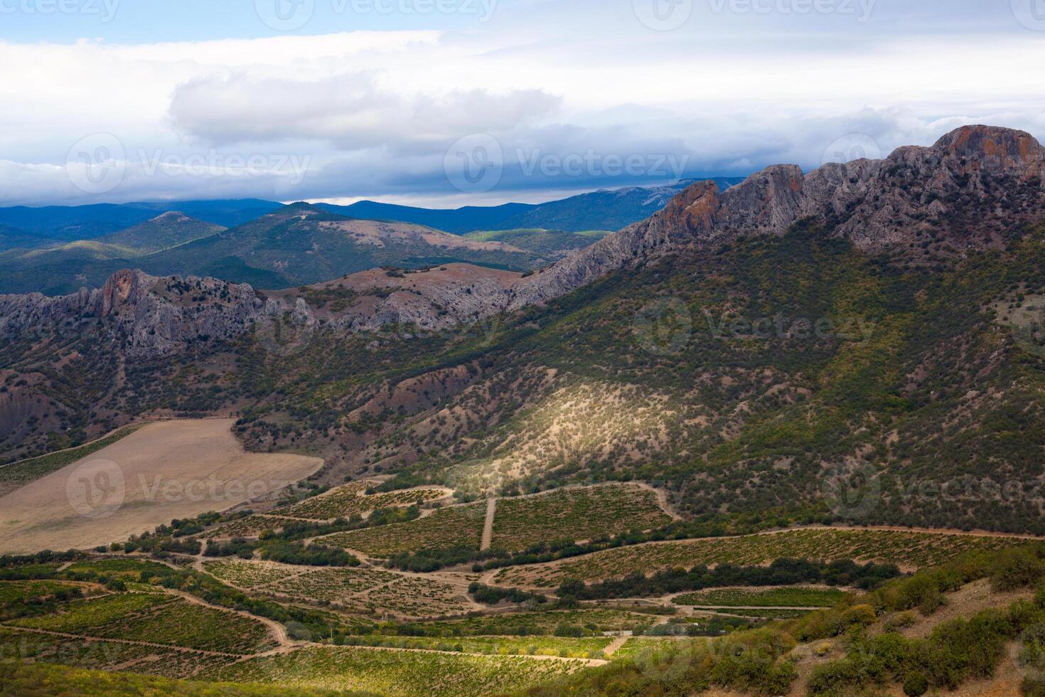 beautiful valley in the mountains with vineyards photo