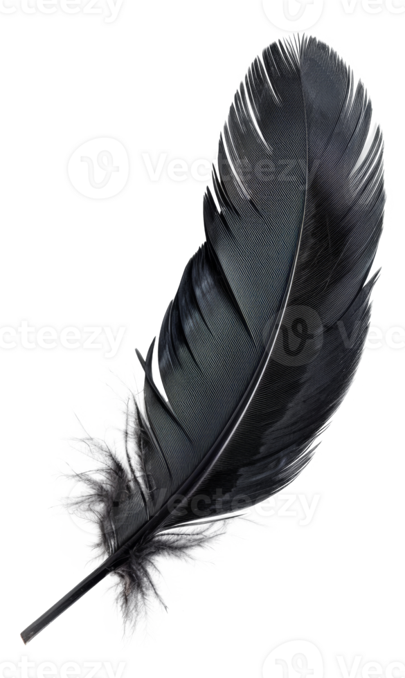 AI generated Black quill on transparent background - stock png. png