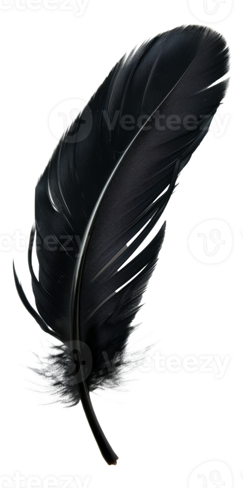 AI generated Black quill on transparent background - stock png. png