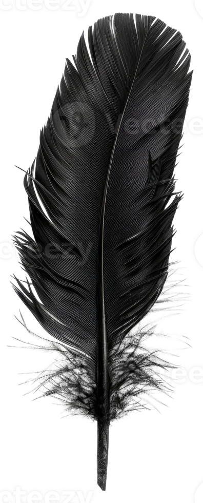 AI generated Black quill on transparent background - stock png. png