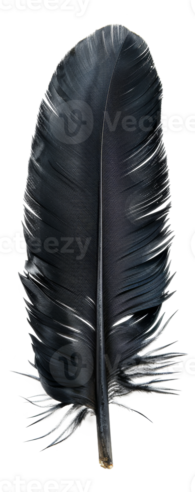AI generated Black quill on transparent background - stock png. png