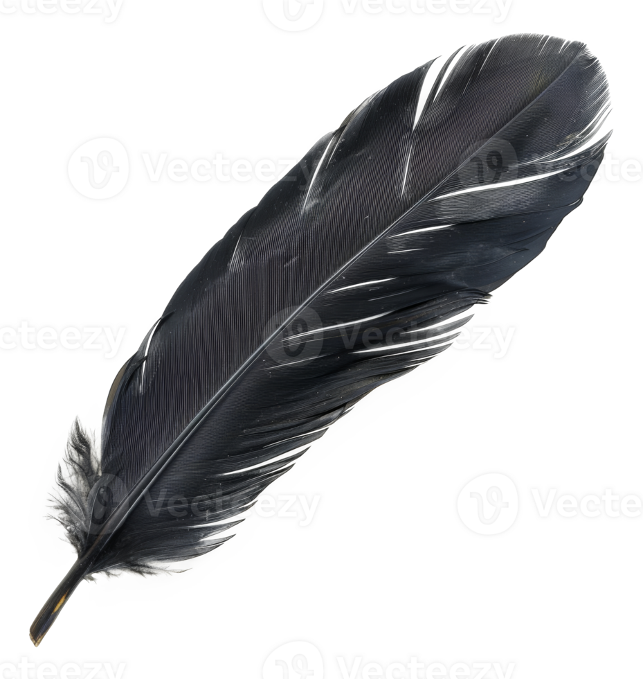 AI generated Black quill on transparent background - stock png. png